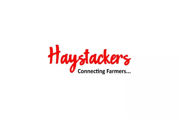 haystackers