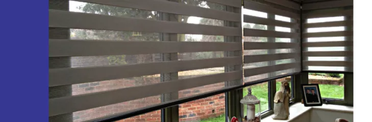 Vision Window Blinds