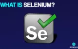 Selenium Automation Testing is used to test web applications